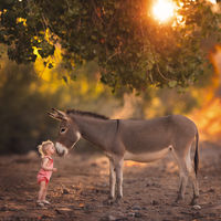 Unexpected Friendship