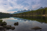 Herbert Lake