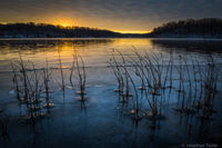 WyCo Frozen Sunrise