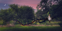 Southern Twilight