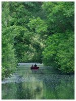 Red Boat