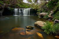 Nellie's Glen