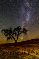 Palouse night sky
