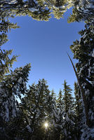 Sunny Winter Hike