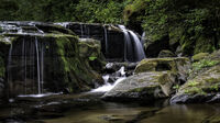 Oregon Waterfall