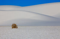 White Sands NP # 2