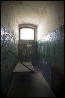 Cell