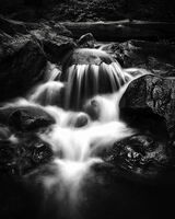 Waterfall Portrait