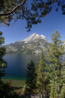 Jenny Lake