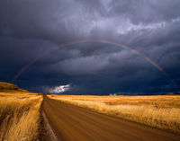Last Dollar Road