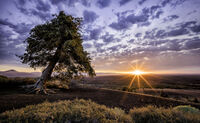 Craters of the Moon