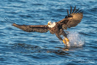 Decisive moment