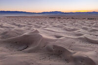 Cadiz Sand Dunes