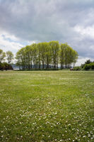 Golden Gardens Green