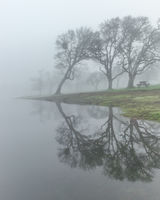 Picnic Table In The Fog