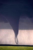 Capitol, MT tornado