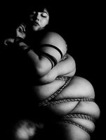 Rose All Tied Up
