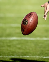 Punting