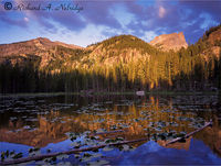 Golden Light, Nymph Lake
