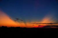 Rays