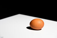 It's an Egg
