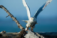 Take Off