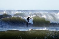 surfer 30D 300/4L IS 1.4x I