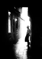 Down and Out in Venice