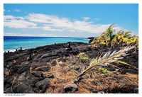 The Black Beach