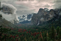 Mystic of Yosemite