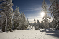 Narnia