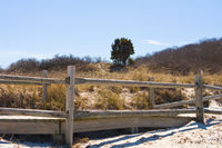 Cape Cod Beach