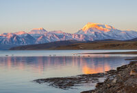 At Lake Manasarovar, Mt Kailash, Ngari, Tibet.