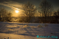 After the Ice Storm, Trexler Environmental Center