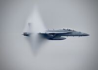 Growler Vapor Cone