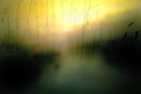 THE LAKE