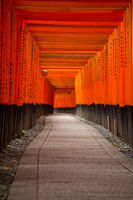 Fushimi Inari