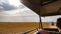 African Safari - Amboseli Jackal