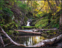 Hidden Paradise