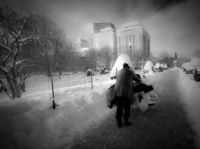 Homeless on the Common